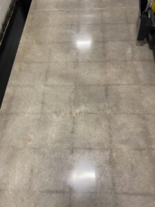 After: Floors in the Ecology Building