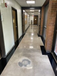 After: Floors in the Ecology Building