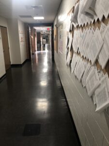 Before: Floors in the Ecology Building